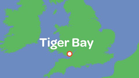 Map showing the location of Tiger Bay.