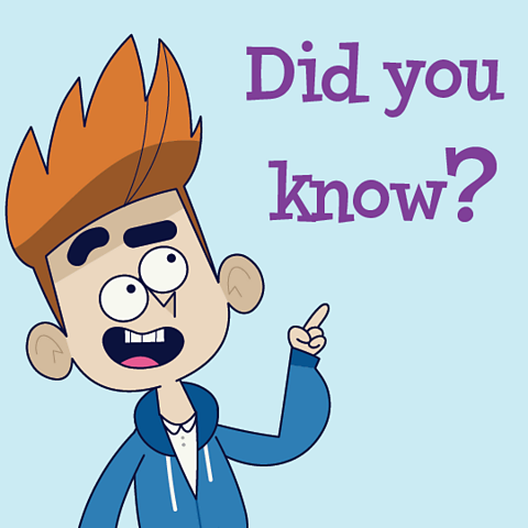 A cartoon of a boy pointing to Did you know? text