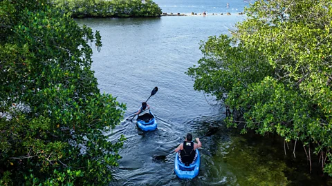 Jeffrey Isaac Greenberg 8+/Alamy Key Largo is a great place to look for wildlife from above or below the water (Credit: Jeffrey Isaac Greenberg 8+/Alamy)