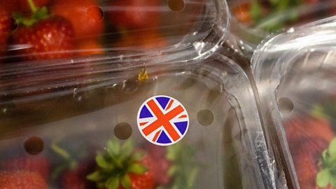 Plastic punnets of strawberries 