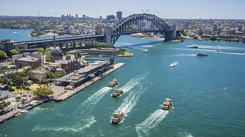 Manfred Gottschalk/Getty Images According to Richard Fitzpatrick, Sydney Harbour is an underrated and excellent dive spot (Credit: Manfred Gottschalk/Getty Images)