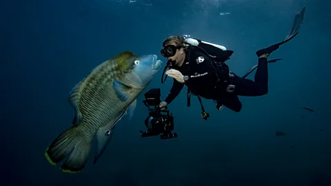Christian Miller When filming underwater, taking the time to establish a relationship with the animals is crucial (Credit: Christian Miller)