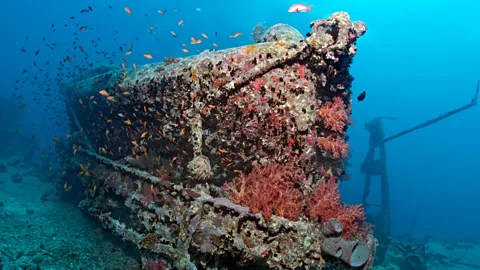 Alamy The shipwreck of the SS Thistlegorm in the Red Sea, Egypt (Credit: Alamy)