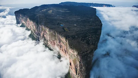Alamy/Remarkable Treks Mount Roraima is home to plants and animals found nowhere else on Earth (Credit: Alamy/Remarkable Treks)