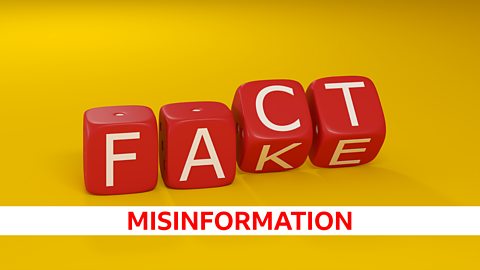 Graphic with the words fact, fake and misinformation. 