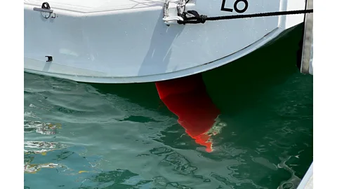 Masa Suzuki and Andrea Fantini Iberian orcas have developed a strange habit of chasing sailboats and hitting their rudders (Credit: Masa Suzuki and Andrea Fantini)