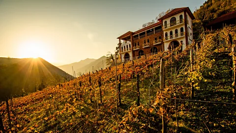 Chateau Iveri Head to Chateau Iveri to try excellent biodynamic wines in a gorgeous rural setting (Credit: Chateau Iveri)