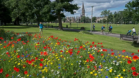 Alan Wilson/Alamy Bruntsfield has always been an open park where people can golf, walk or just enjoy the views (Credit: Alan Wilson/Alamy)