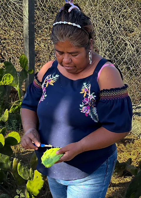 Nicole Melancon Rita Garcia prepares the prickly pear cactus pad (Credit: Nicole Melancon)