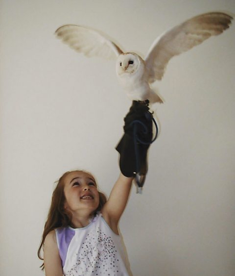 A young Megan McCubbin holding up a barn owl