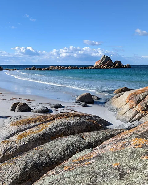 Ellie Cobb Tasmania's Bay of Fires region is famous for its rocky headlands smothered in orange lichen (Credit: Ellie Cobb)