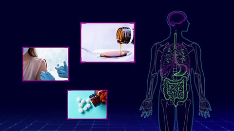 Immunity and disease