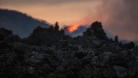 Sophie Carr (Credit: Sophie Carr)