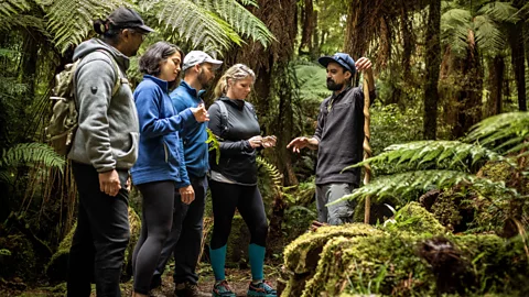 Cinzia Maioha-Jonathan Whirinaki Forest Footsteps is a forest bathing experience in one of the world's last prehistoric rainforests (Credit: Cinzia Maioha-Jonathan)