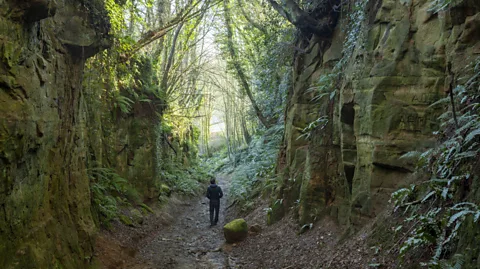 James Osmond/Getty Images Man walking in holloway in Dorset