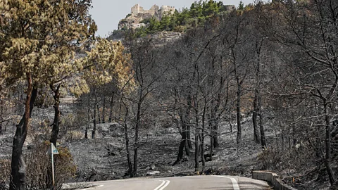 Getty Images The Greek island of Rhodes was among the worst hit by the wildfires in July 2023 (Credit: Getty Images)