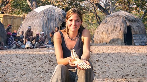 BBC Two - The Incredible Human Journey