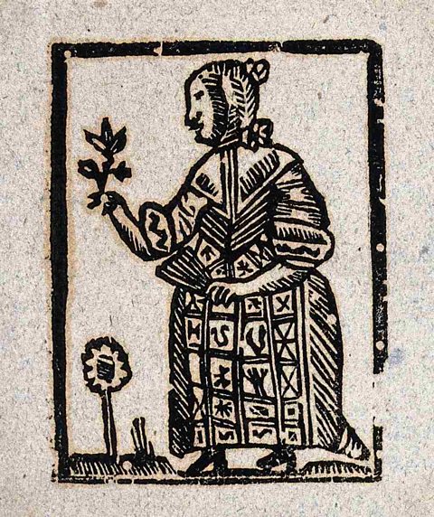 Woodcut image of a witch holding the stem of a plant and a fan