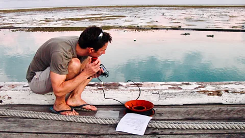 Tim Lamont Researcher Steve Simpson says he has heard reefs both die and recover (Credit: Tim Lamont)