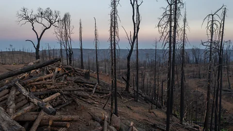 When wildfires reach the stratosphere