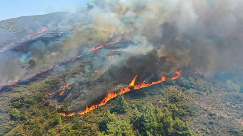 Strong winds lead to fire danger