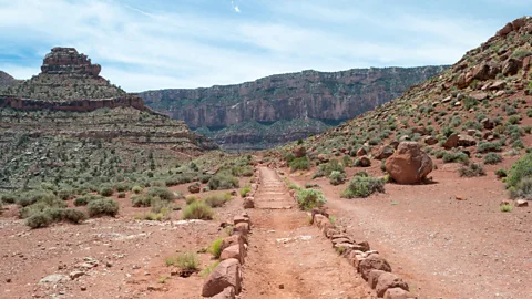 Photo of a trail