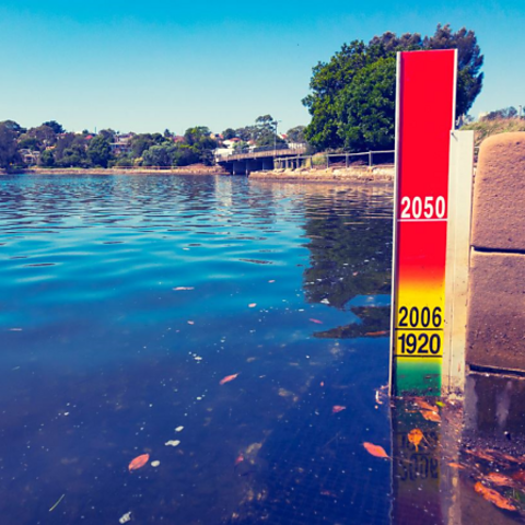 Sea level rise indicator placed on Sydney Harbour