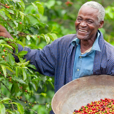 A Fairtrade farmer