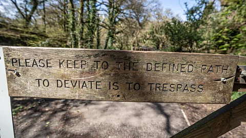 Richard Collett The High Court of England's contentious ruling gave Dartmoor landowners the right to move wild campers on (Credit: Richard Collett)