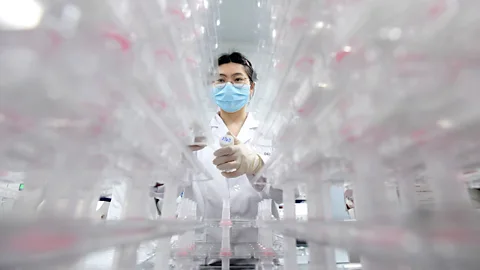 Getty Images A laboratory technician screens cancer samples (Credit: Getty Images)