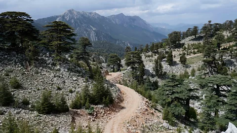 Alastair Gill Path on the Lycian Way, Turkey