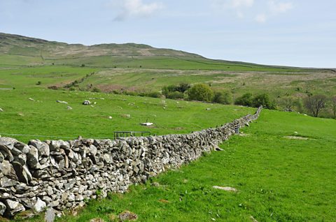 Drystone walls in Dumfries and Galloway. Drystone walls like this were built in many parts of Dumfries and Galloway 