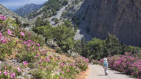 David C Tomlinson/Getty Images Travellers should consider exploring lesser-known – and less-touristed – parts of Greece (Credit: David C Tomlinson/Getty Images)
