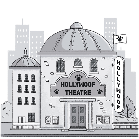 Hollywoof Theatre from the book