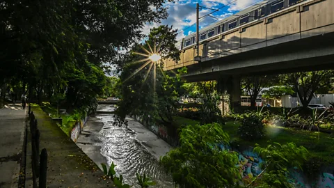 Getty Images Many of the gardeners who maintain the green corridors were displaced by armed conflict in Colombia (Credit: Getty Images)