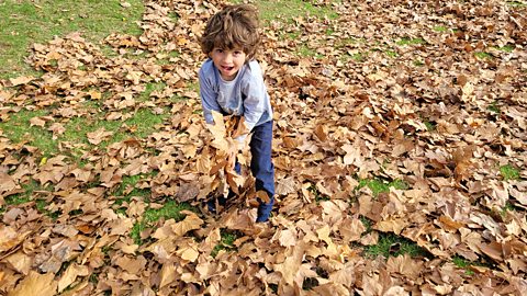 A little boy with a repaired cleft lip playing in fallen leaves.