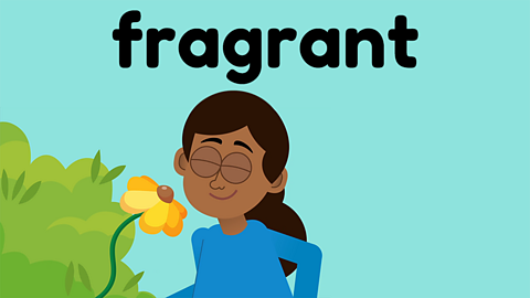 A young girl sniffing a flower beneath the word 'fragrant'