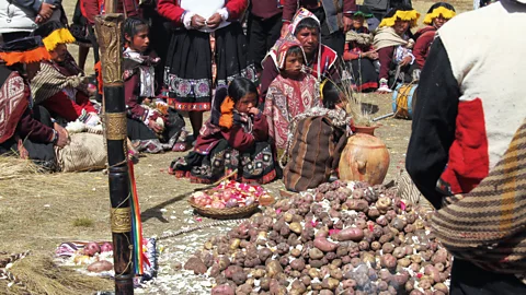 Andes The potato park in Pisac, Peru, was founded by six indigenous communities in 2002 (Credit: Andes)