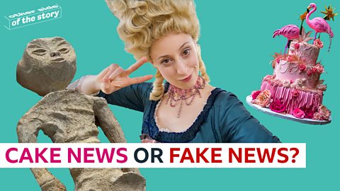 Can you tell the cake news from the fake news?