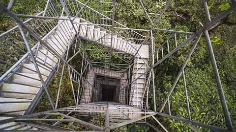 Mashpi Lodge The 26m-tall observation tower offers endless views over the cloud forest (Credit: Mashpi Lodge)