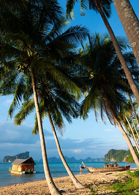 Austin Bush Finding breakfast on Thailand's Ko Yao Noi island requires a bit of luck (Credit: Austin Bush)