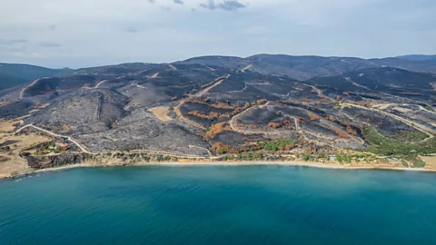 Athanasios Gioumpasis/Getty Images Greece has been stricken by hundreds of wildfires this year, including one in Evros that burned for 17 days (Credit: Athanasios Gioumpasis/Getty Images)