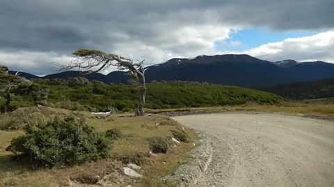 Shafik Meghji The 23km route from Puerto Williams to Caleta Eugenia soon turns into a gravel path (Credit: Shafik Meghji)