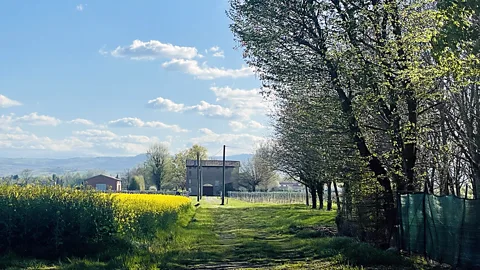 Priya Mani The annual refilling of the barrels is in the spring at Bompana’s vineyards in Modena (Credit: Priya Mani)