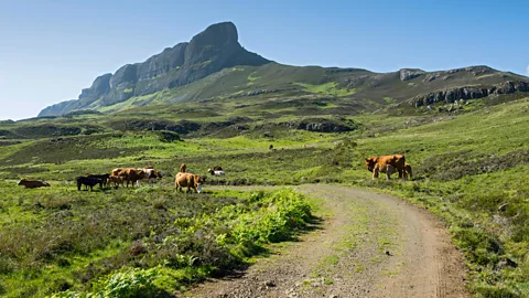 Vincent Lowe/Alamy Looking at its face, An Sgurr appears unconquerable (Credit: Vincent Lowe/Alamy)