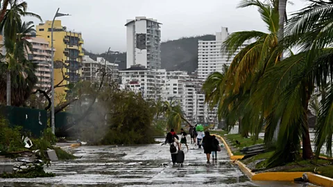 Radar Tracks Unfortunate Creatures Trapped in Tropical Cyclones - Eos