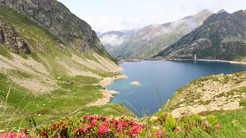 Vivian Song The Pyrenees boast one of France's most biodiverse ecosystems (Credit: Vivian Song)