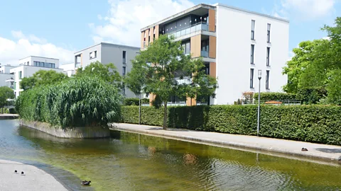 Norman Miller Essen's new University Park now features ponds fed by rainwater (Credit: Norman Miller)