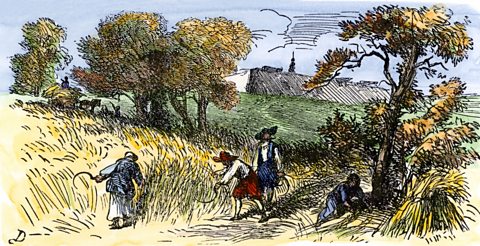 An engraving showing wheat fields being harvested by men and women with scythes. 