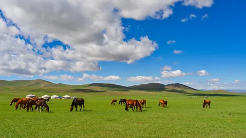 janetteasche/Alamy The ability to ride horses and shoot the bow was one of the Xiongnu's main skills (Credit: janetteasche/Alamy)